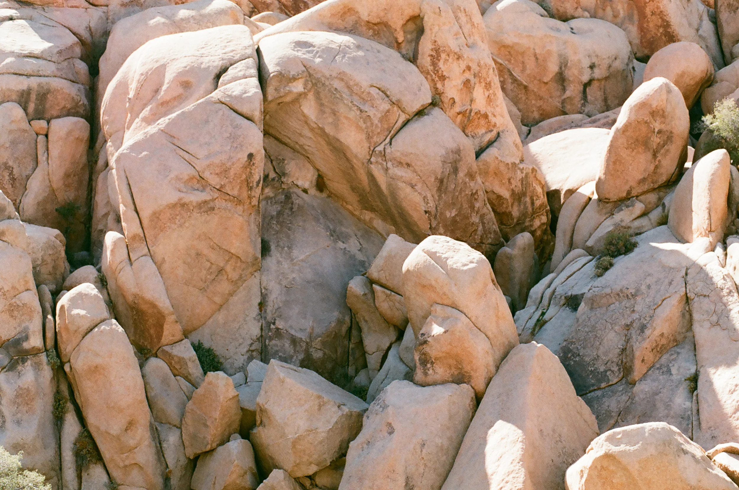 joshua-tree-rocks-1-cameliamanea.jpg