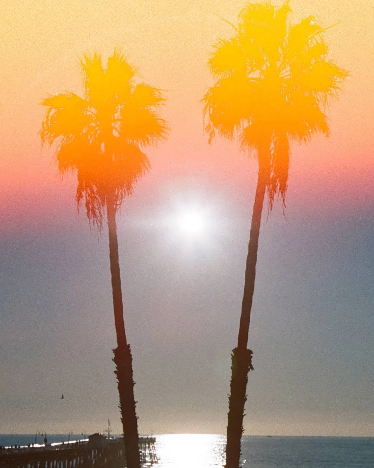 always aiming at the sun