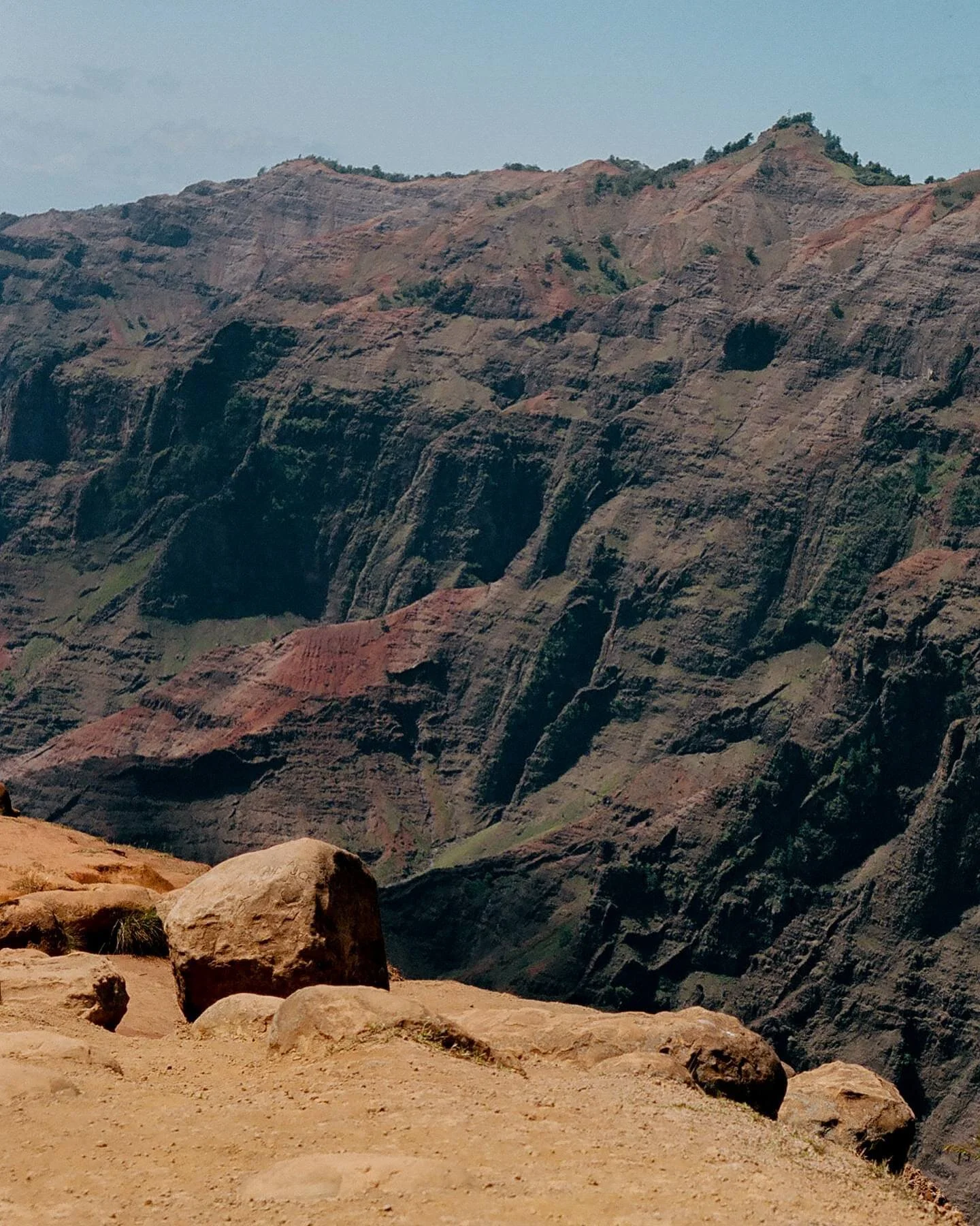 EVERY DAY IS EARTH DAY BUT ESPECIALLY TODAY