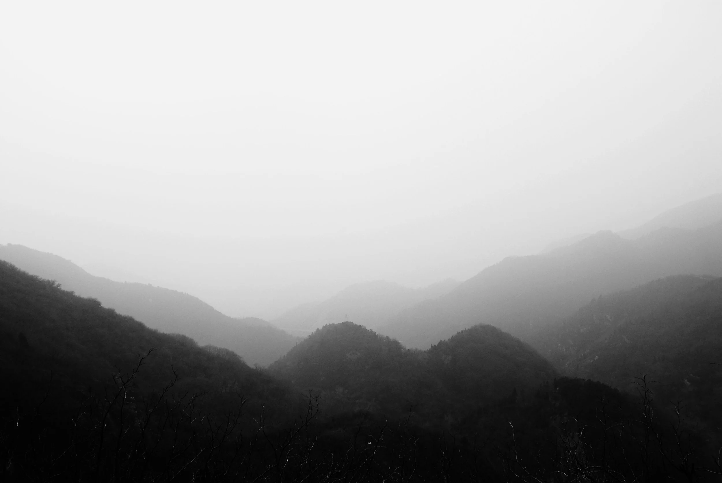 China. 2010
