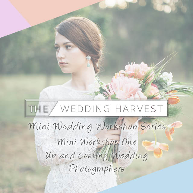 The Wedding Harvest 640px INSTAGRAM.jpg