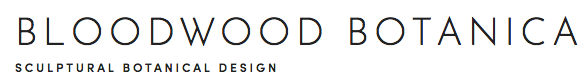 Screen Shot 2019-01-27 at 4.31.18 PM.png