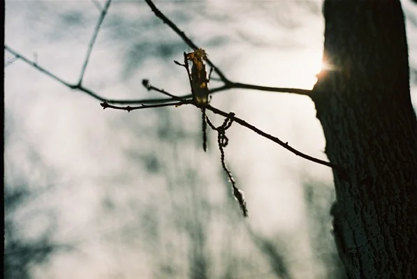 Experiments With Film