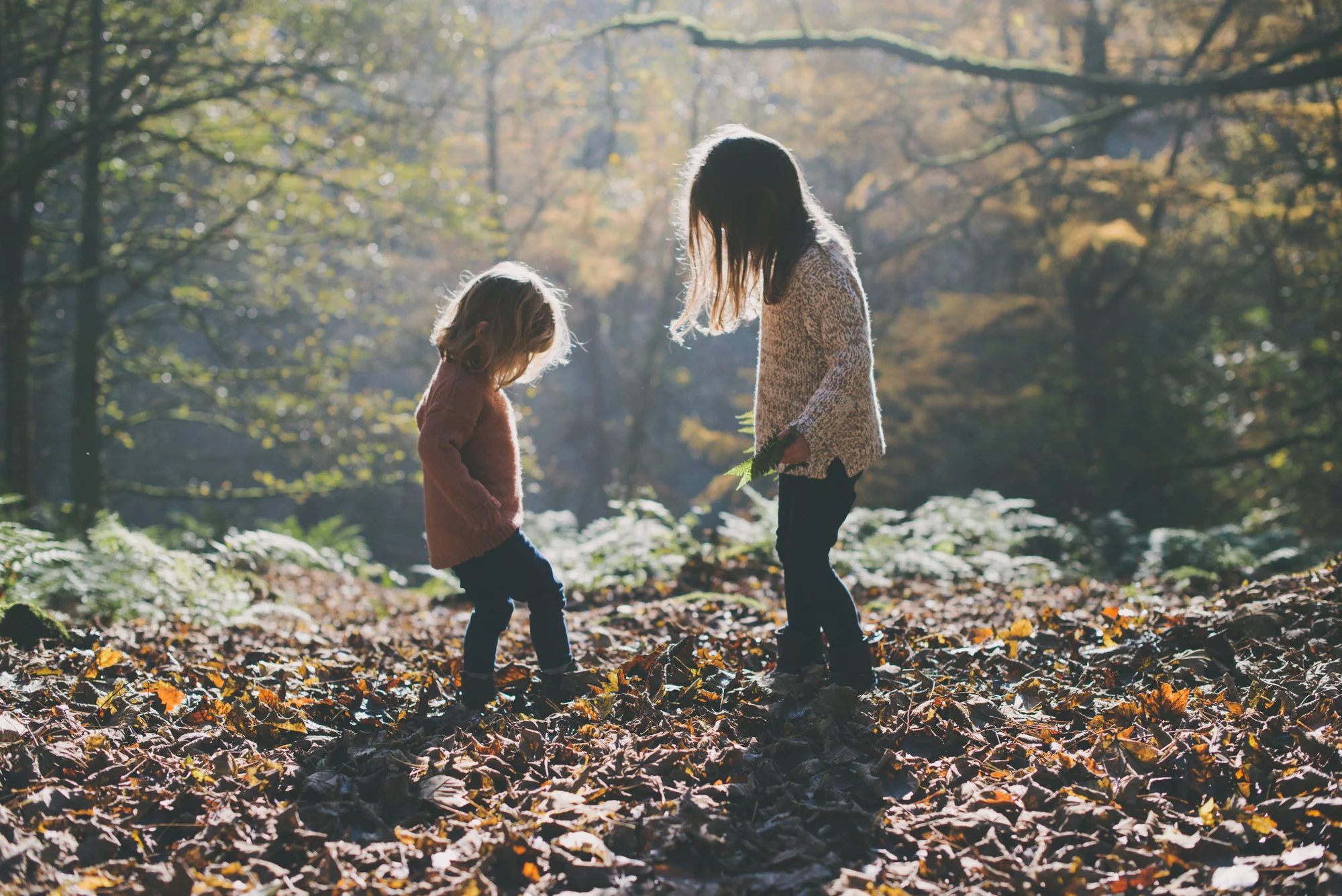 The Leaf Kicking Blackberry Pickers
