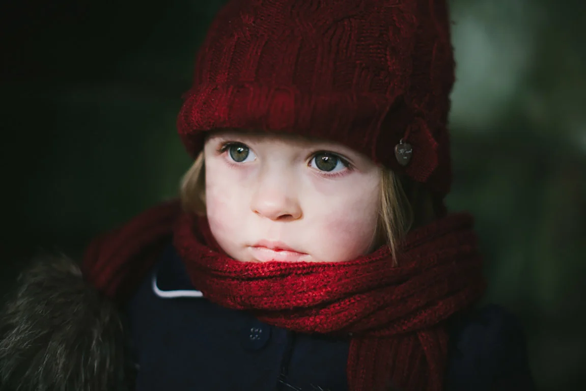 Looking Back at 2015