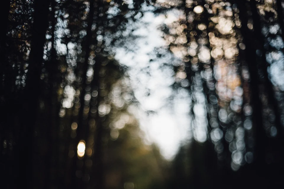 SarahMasonPhotography_007.jpg