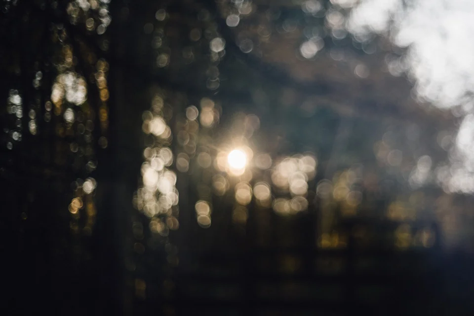 SarahMasonPhotography_009.jpg