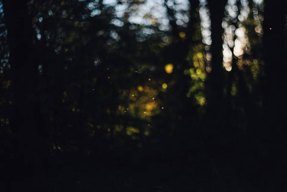 SarahMasonPhotography_019.jpg
