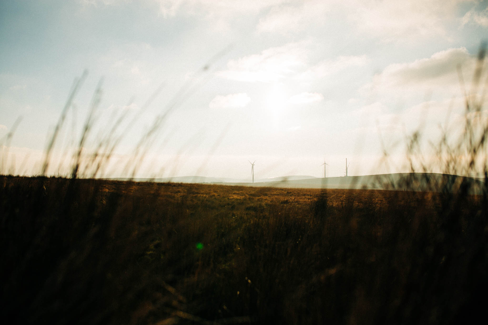 Alex_Sedgmond_Photography-Cardiff-SouthWales--31.jpg