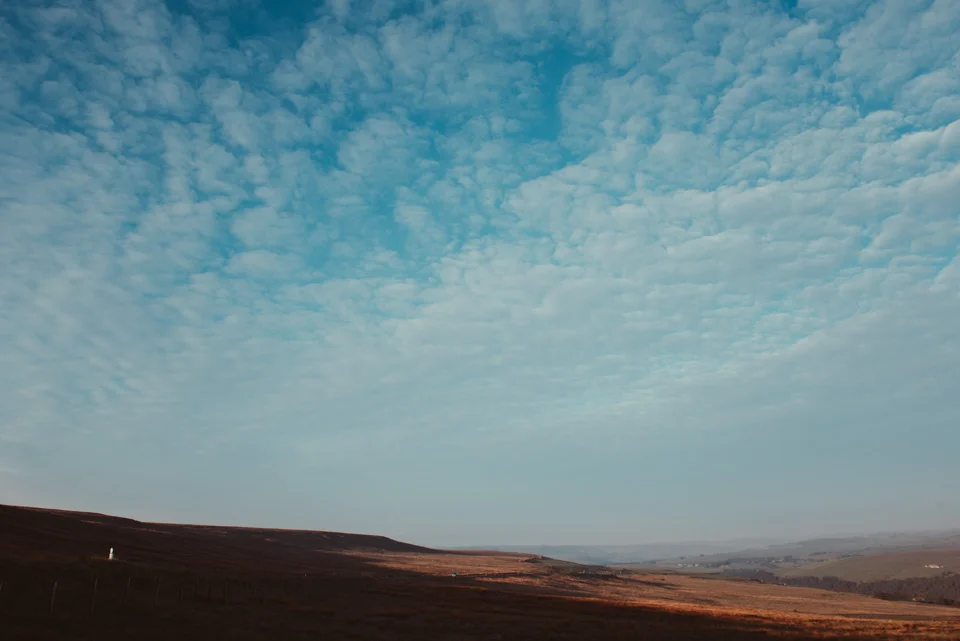 SarahMasonPhotography_003.jpg