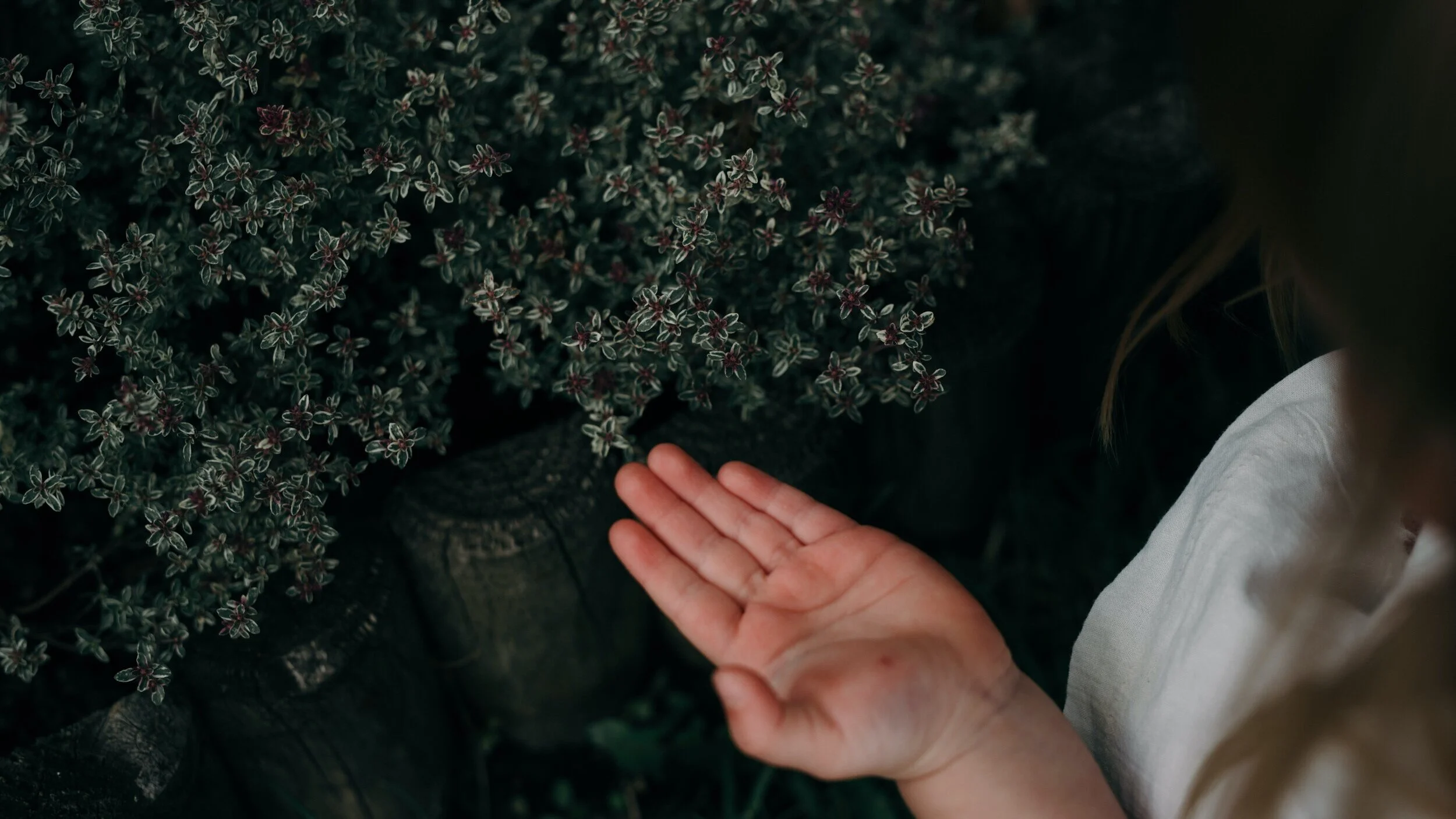 SarahMasonPhotography_089.jpg