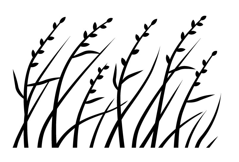 Life-in-Motion-Logo for MN .JPG