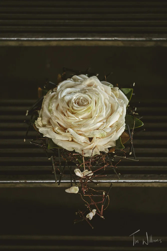 Tim Williams Photography 012.jpg