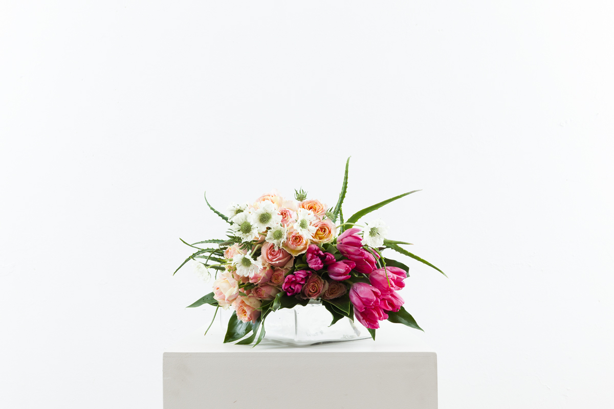 Edith Falls_Classic Blend_floralink_057.jpg