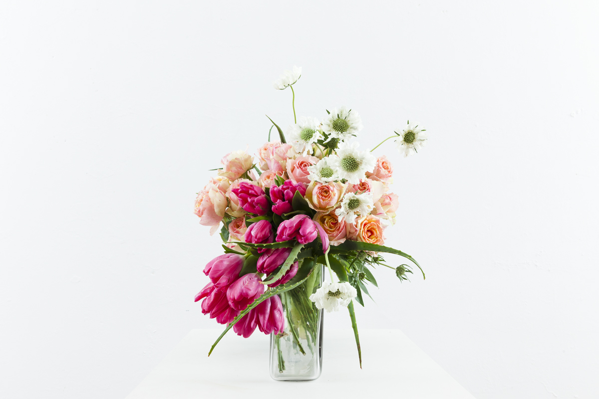 Edith Falls_Classic Blend_floralink_067.jpg