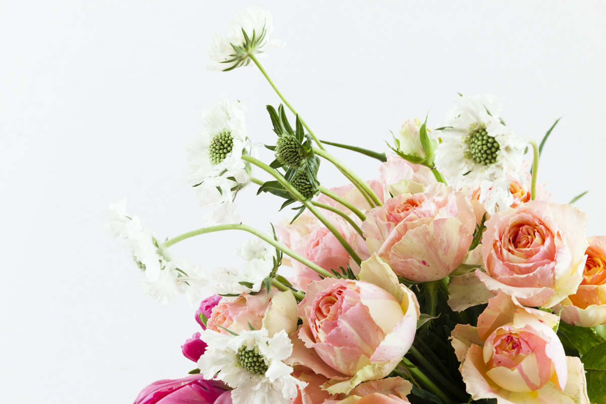 Edith Falls_Classic Florals_floralink_069.jpg