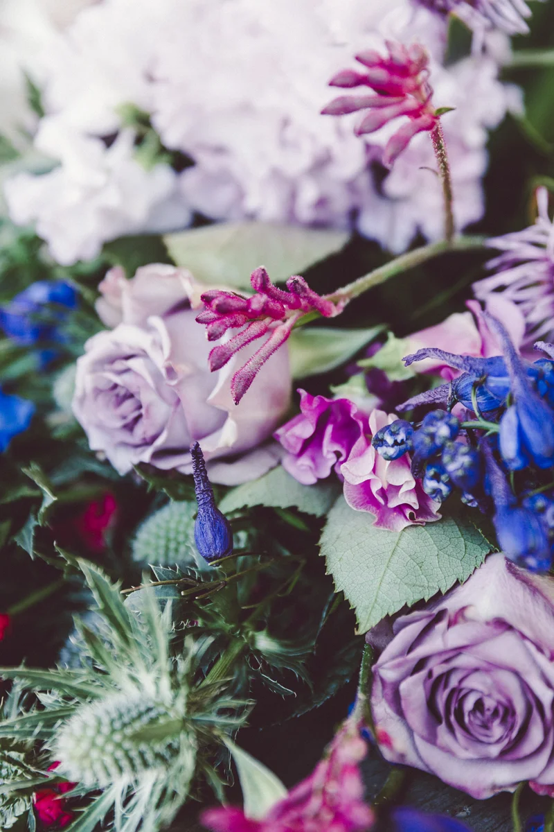 160826_floralink_075.jpg