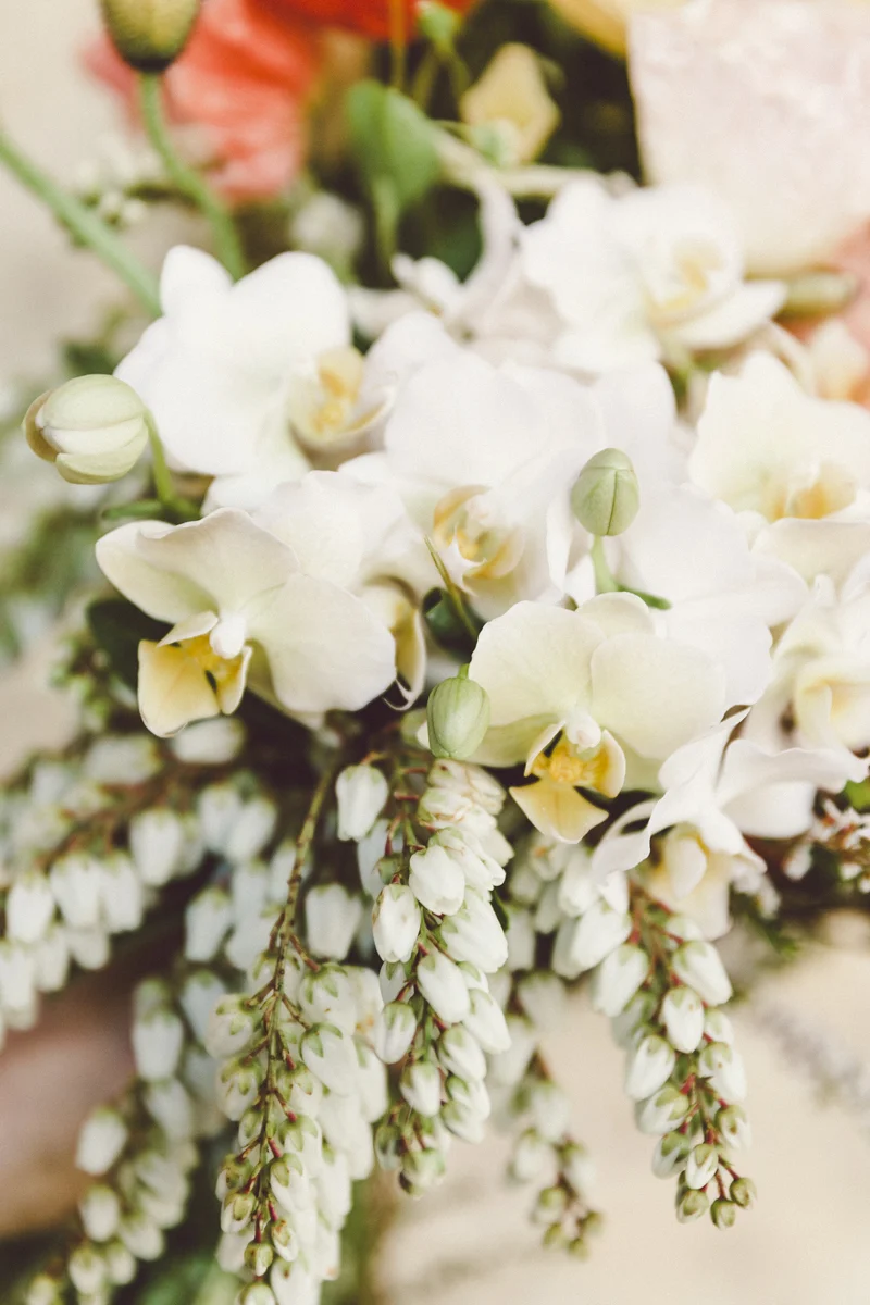 160826_floralink_136.jpg