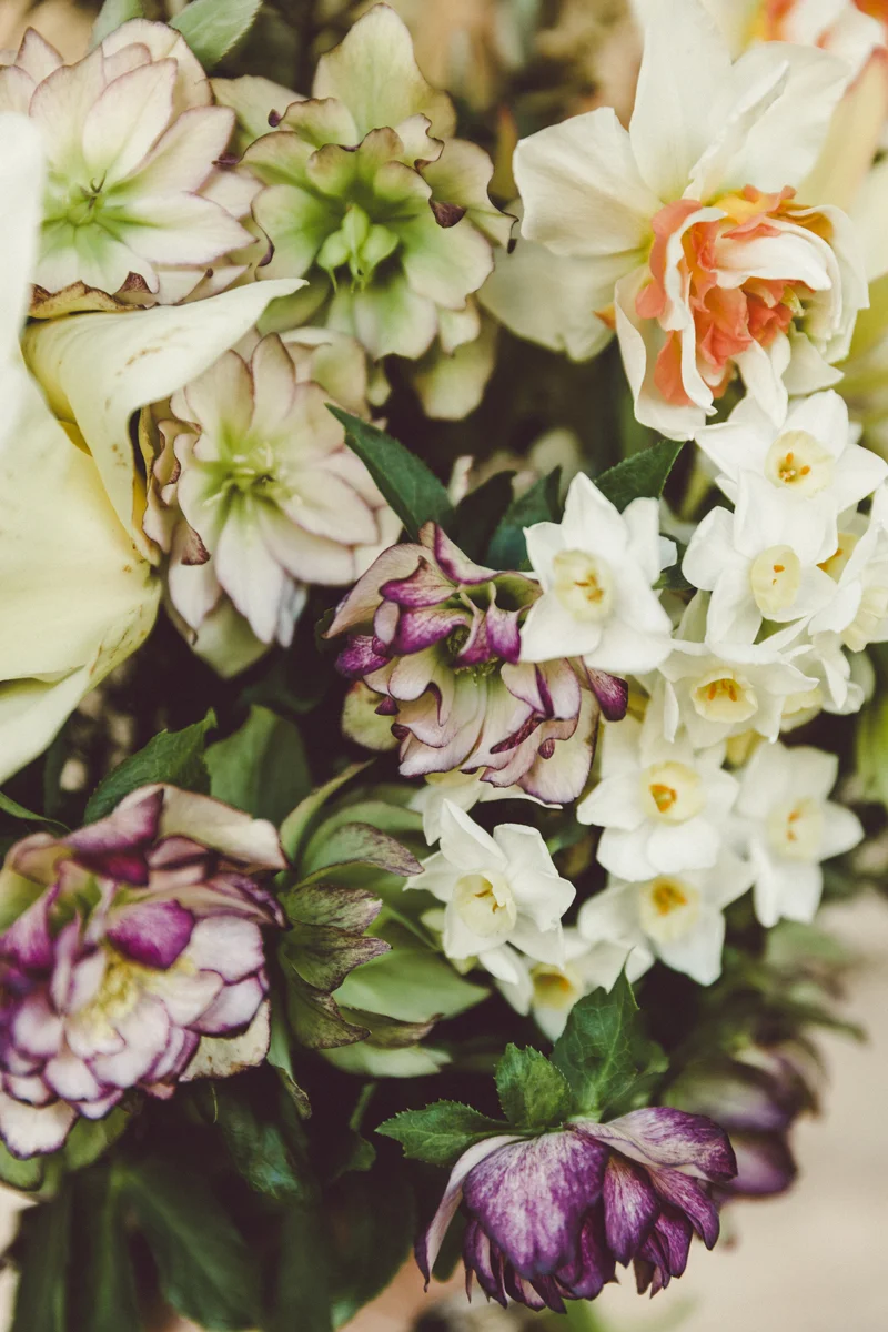 160826_floralink_082.jpg