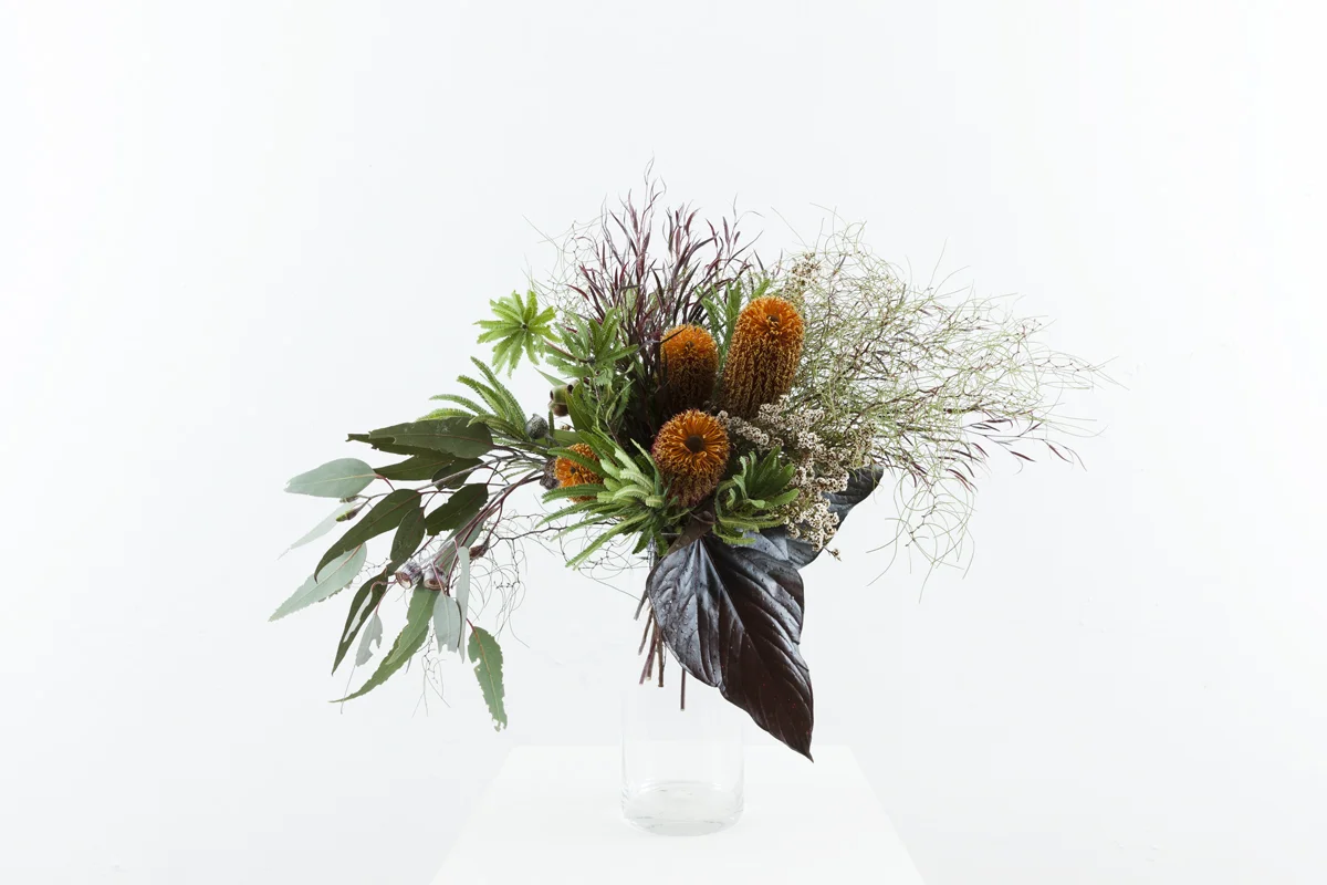 Fern Bower Falls_Natives_floralink_001.jpg