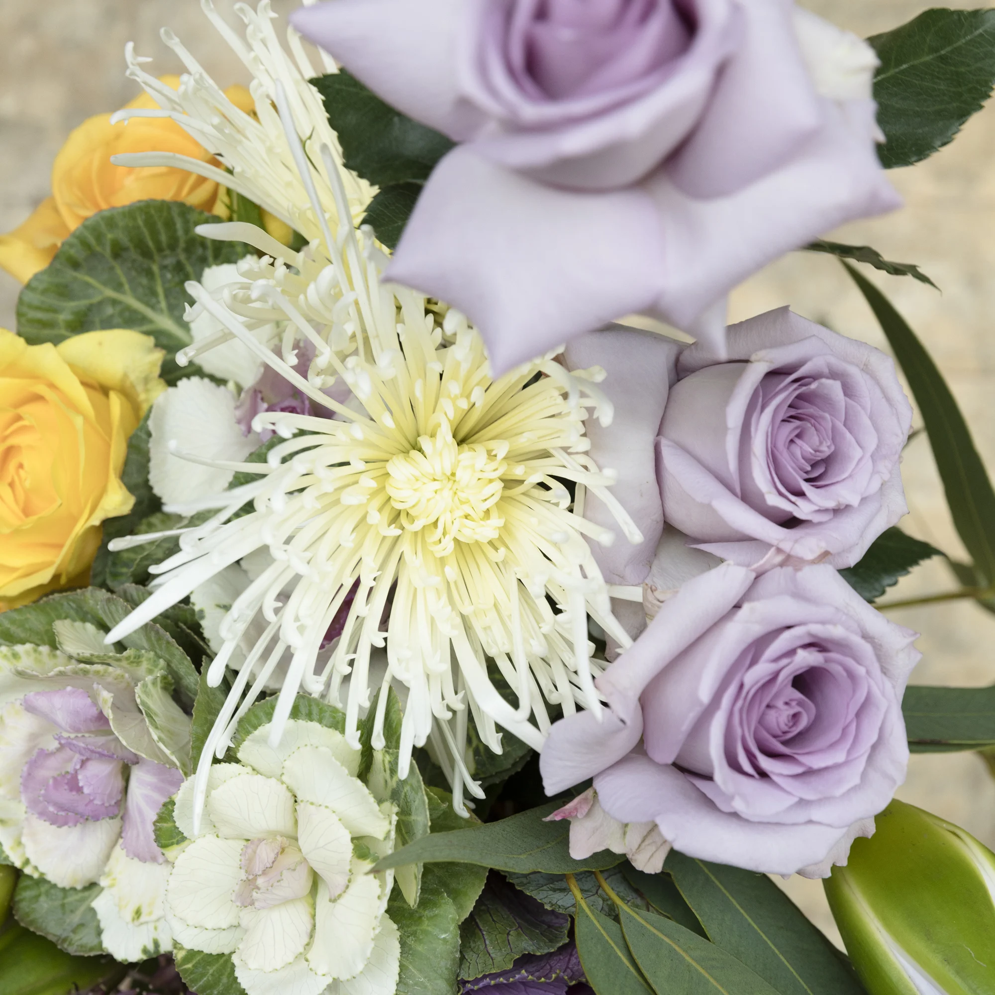 170503_floralink_062.jpg