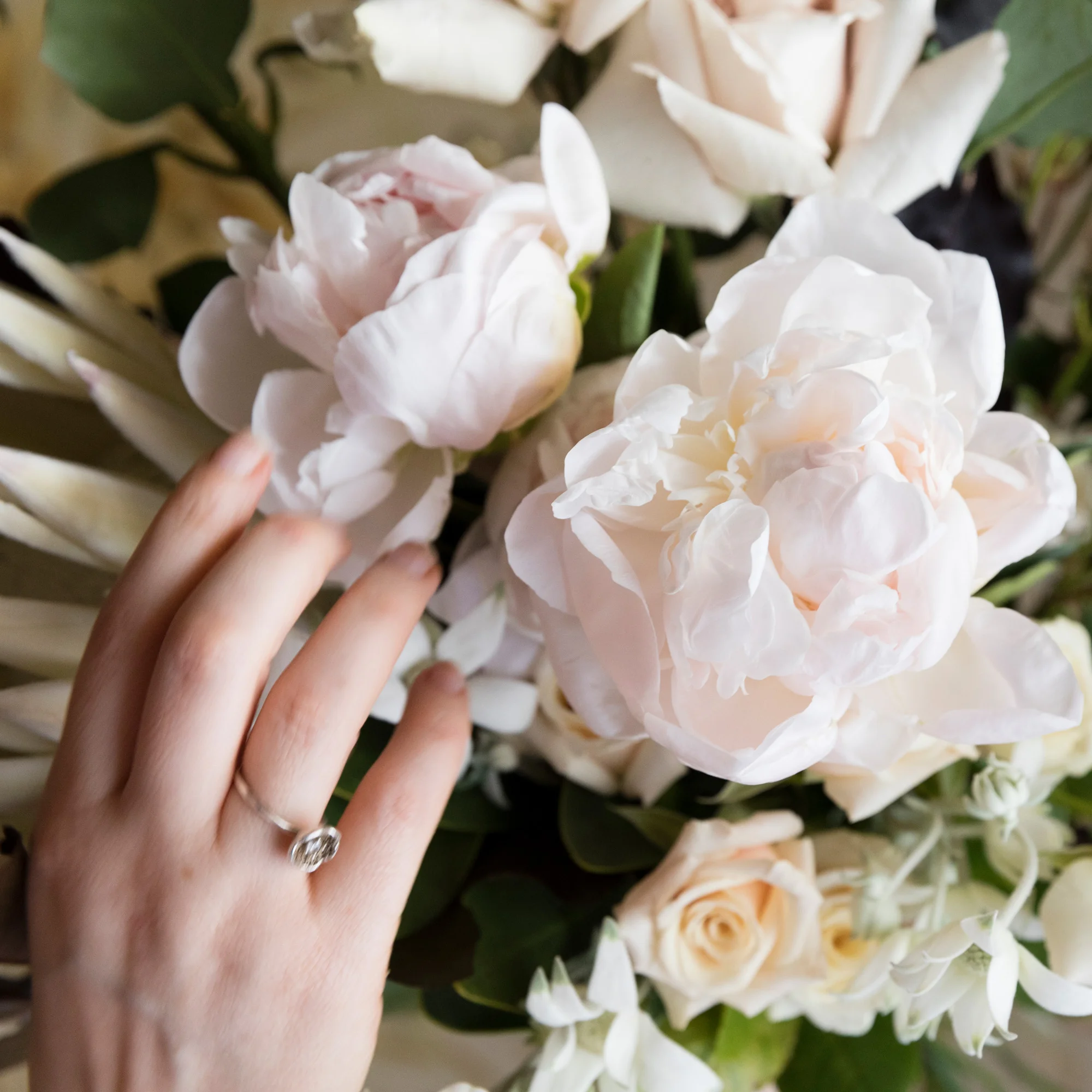 171122_FLORAL INK_030.jpg