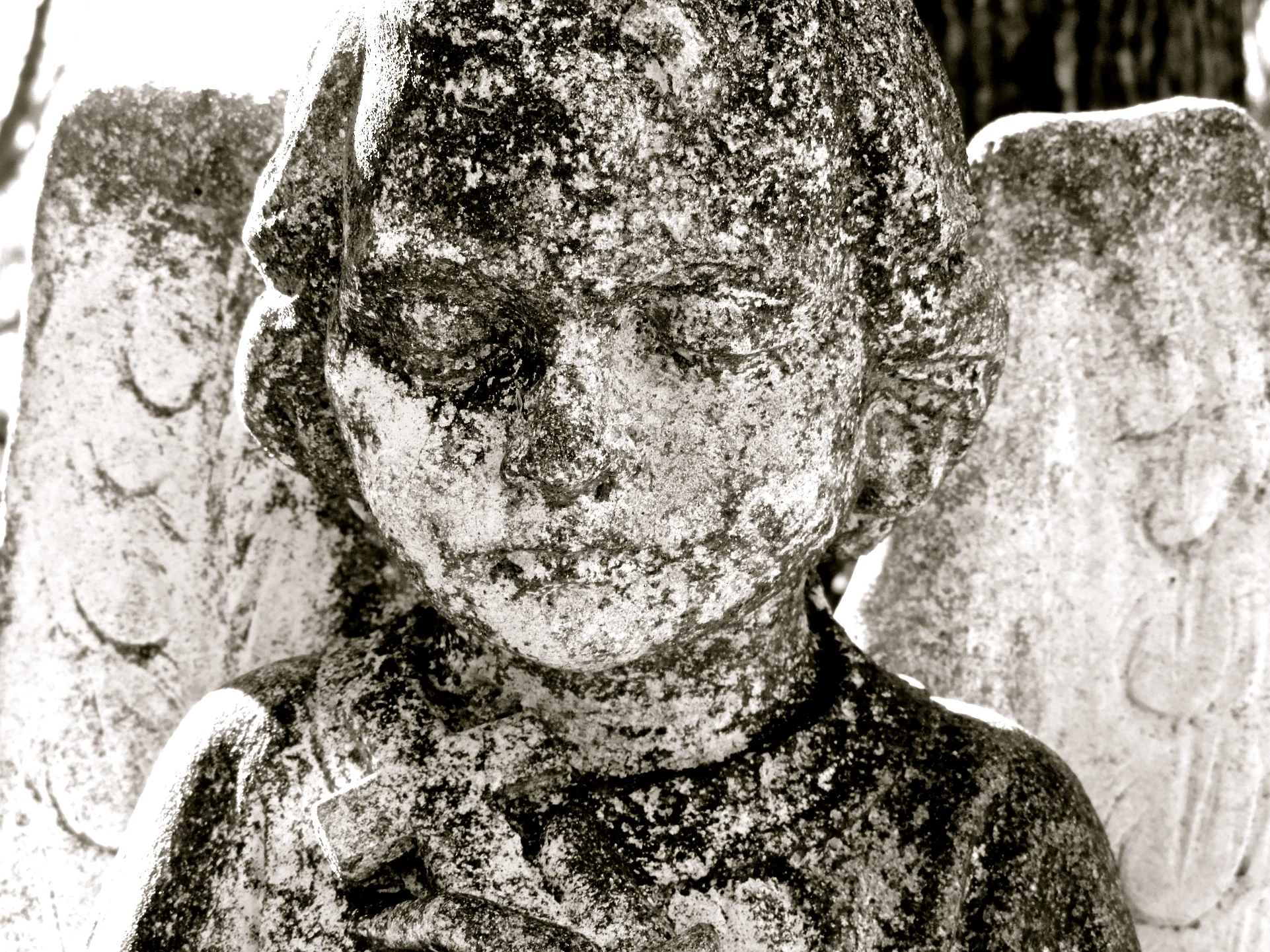 DSCN0074 2.JPG