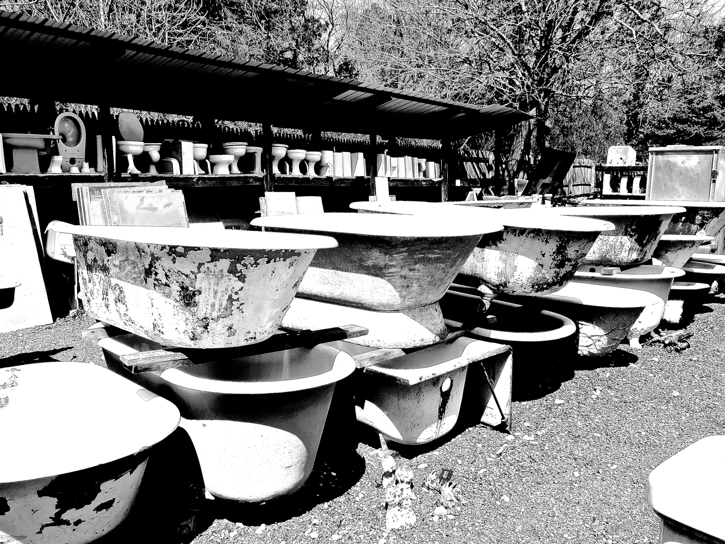 IMG_0532.JPG