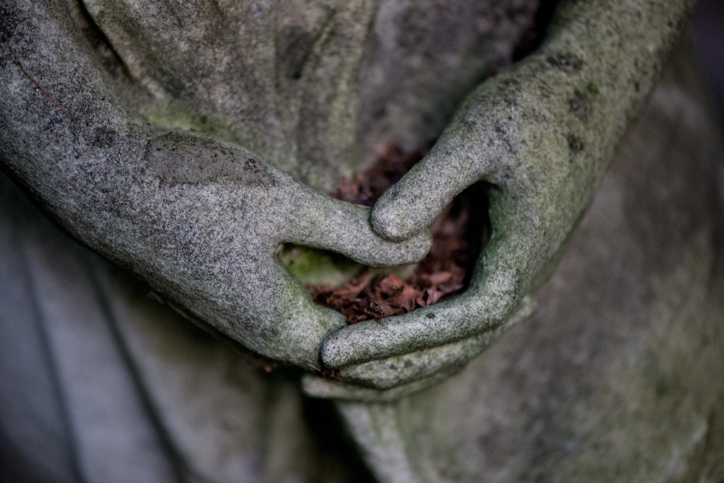 Cemetery 8-11-14-008.jpg