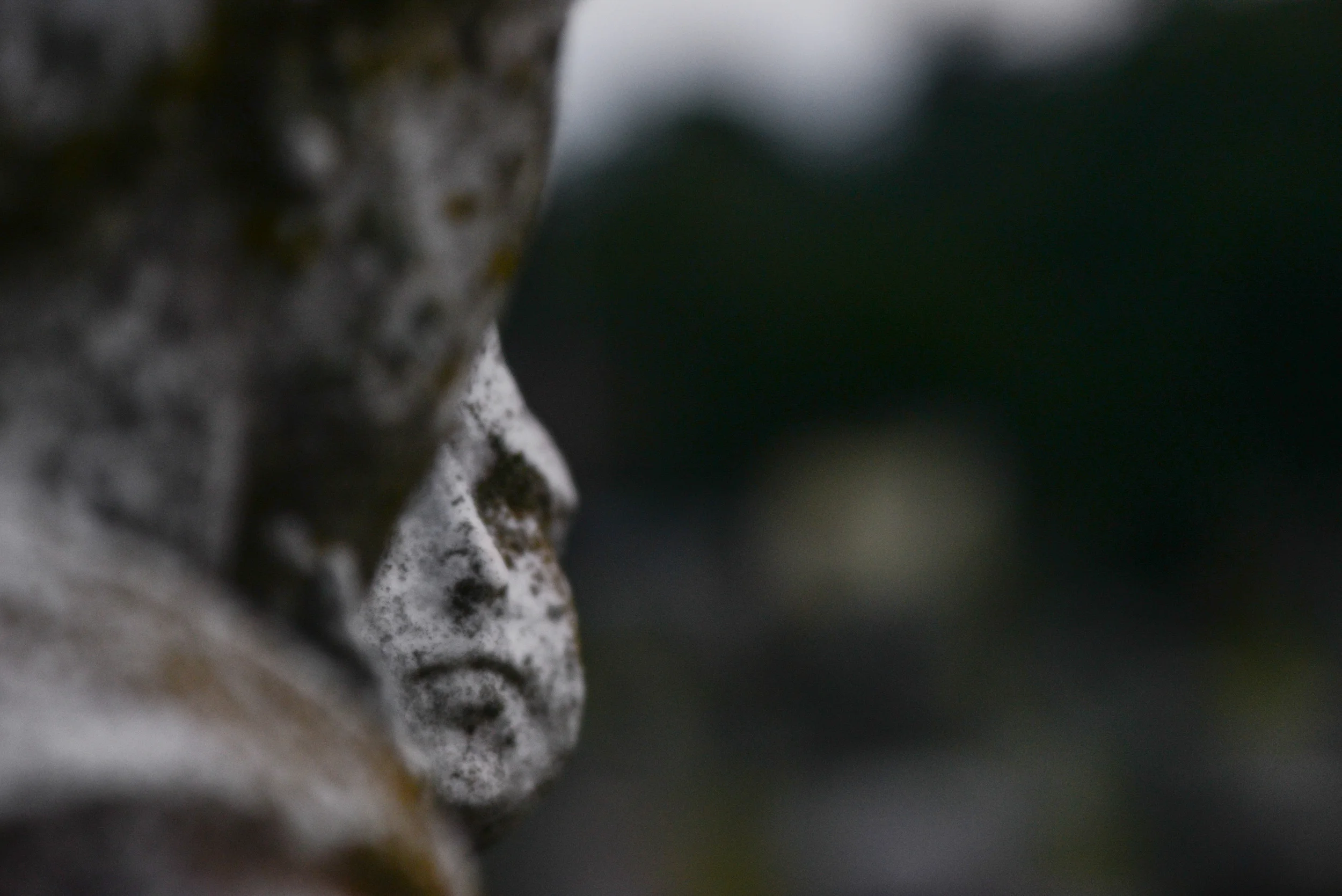 Cemetery 8-10-14-013.jpg