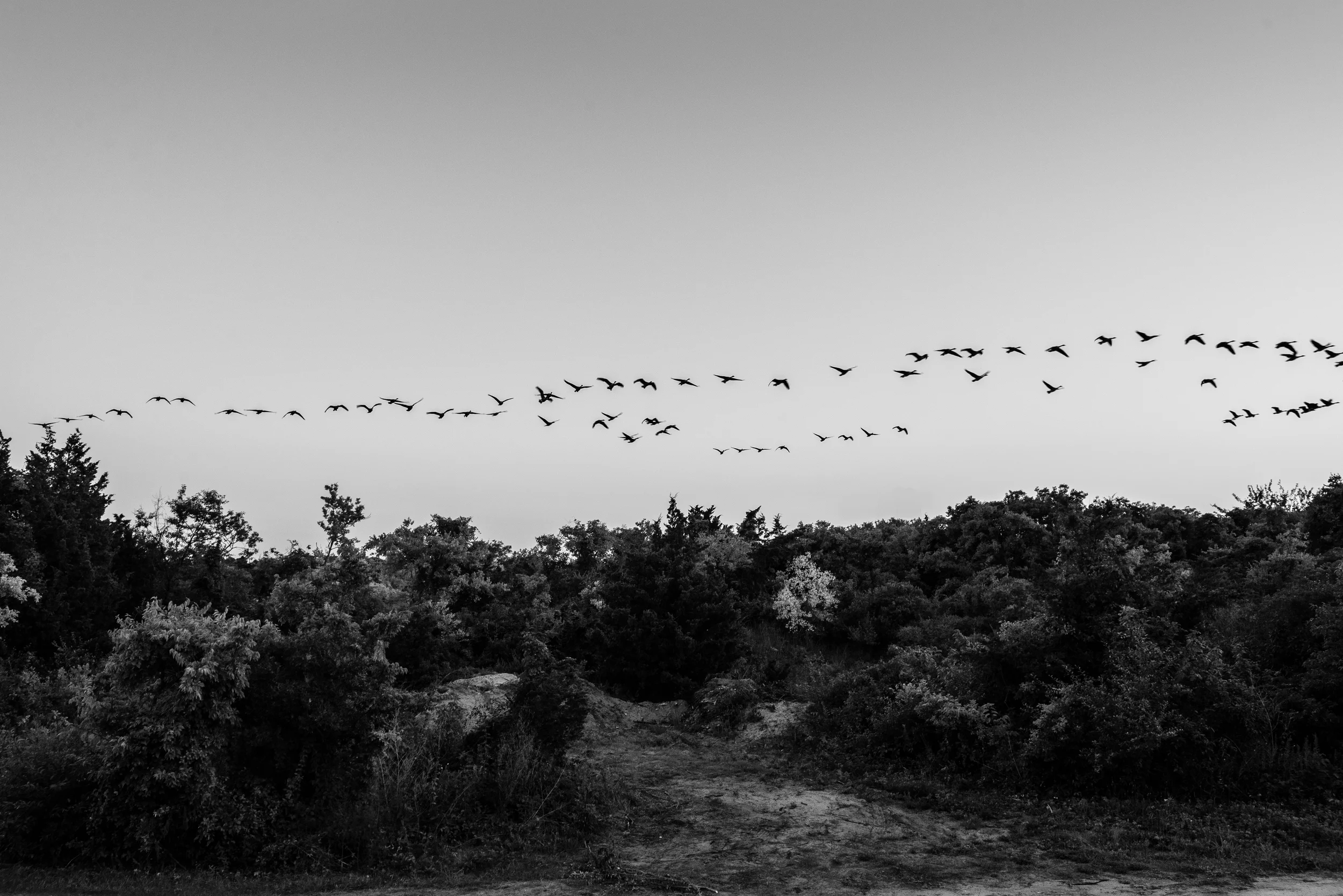 Sandy Hook - Morter, Battery Peck-198.jpg