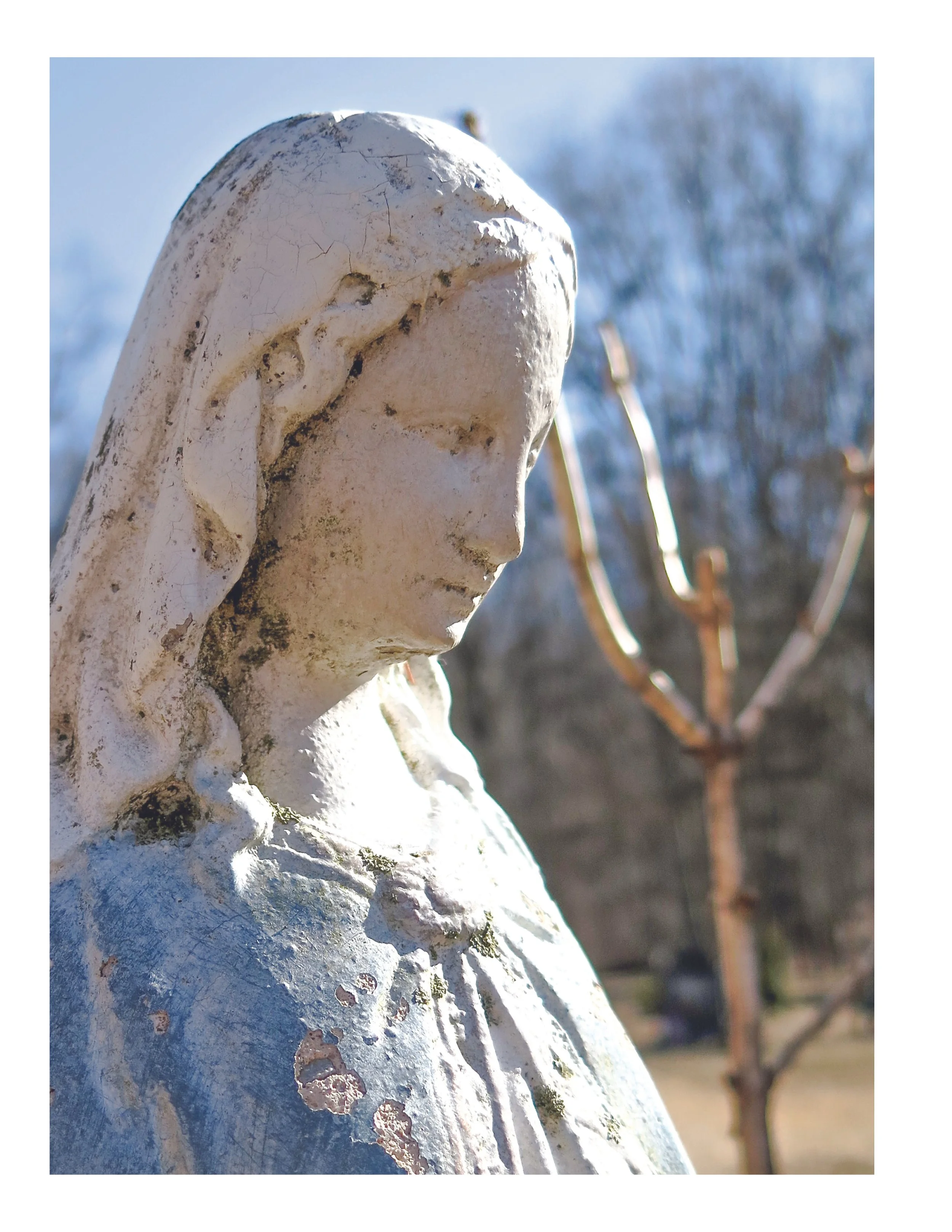 Grave Faces Page 164.jpg