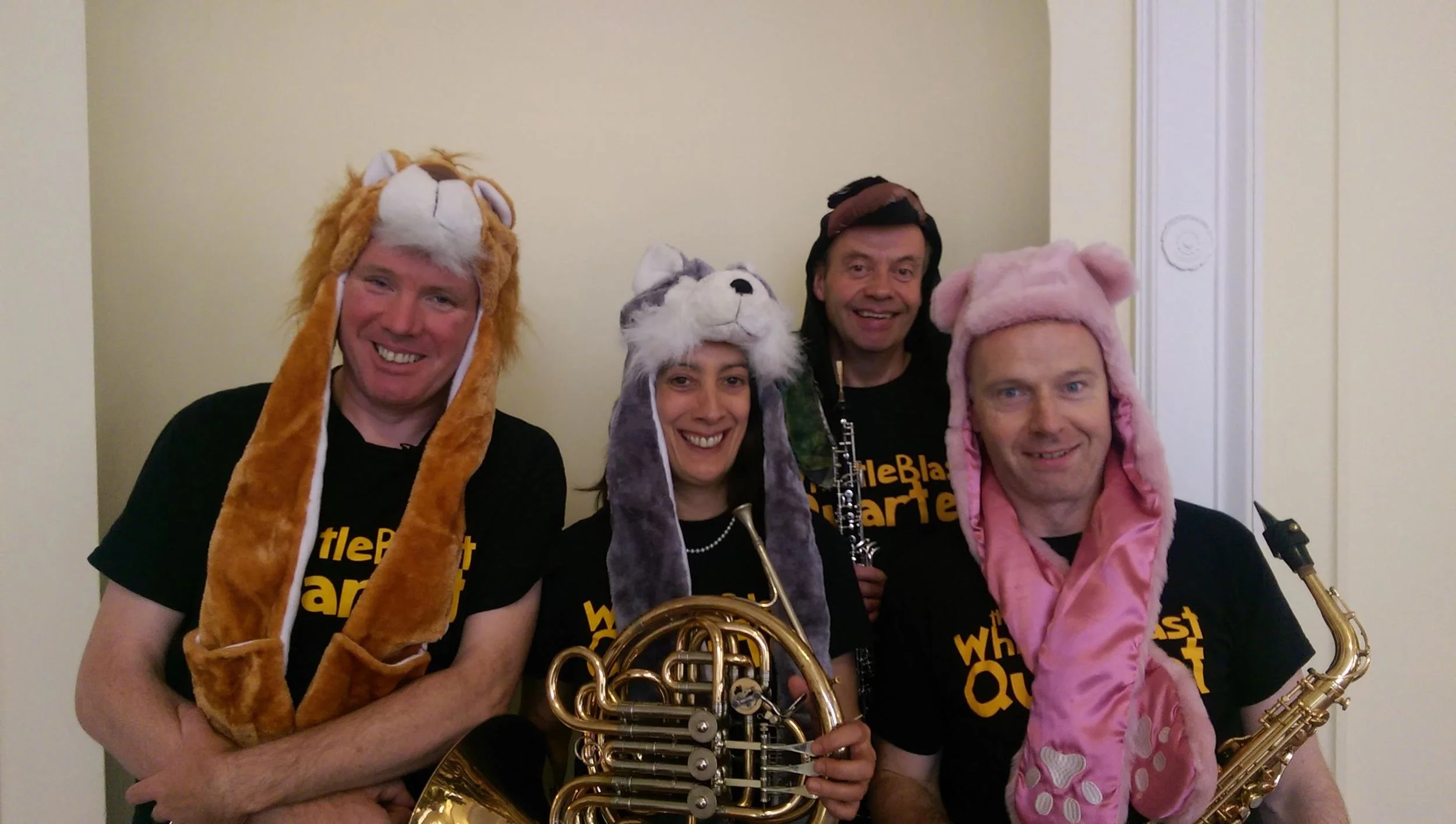 Carnival of the Animals in National Concert Hall Dublin!
