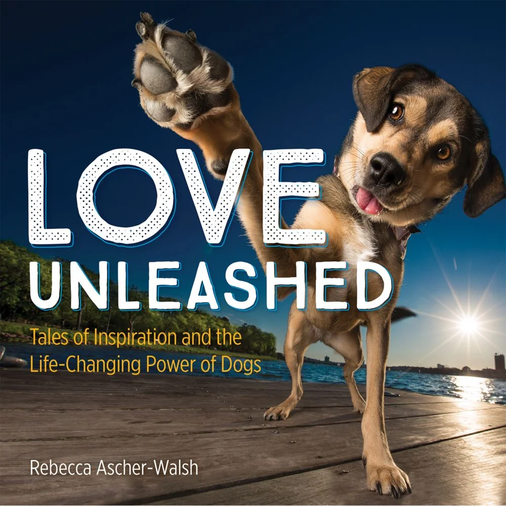 Buy on Amazon | Barnes and Noble