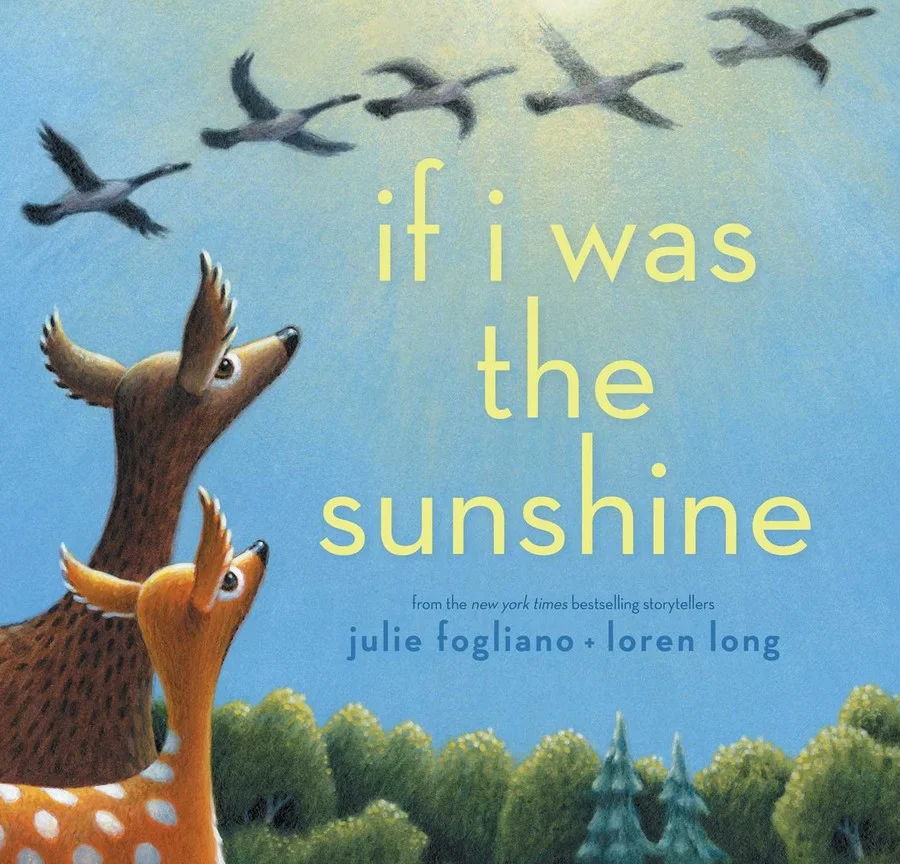 if-i-was-the-sunshine-9781481472432_xlg.jpg