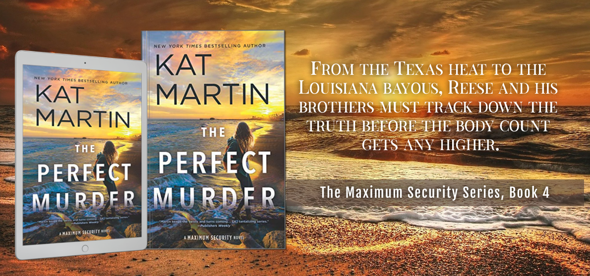 The Perfect Murder Book Banner.png