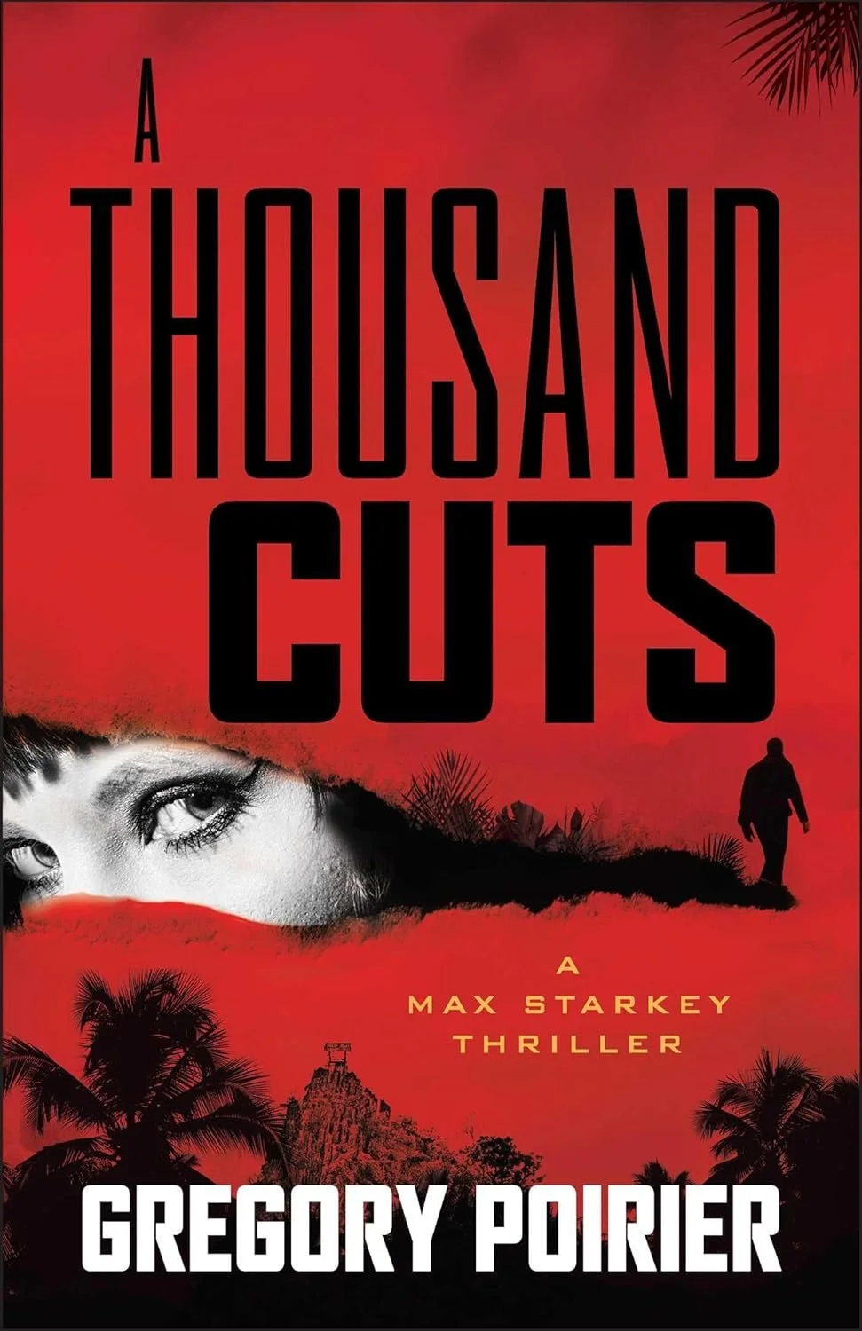 Spotlight: A Thousand Cuts by Gregory Poirier