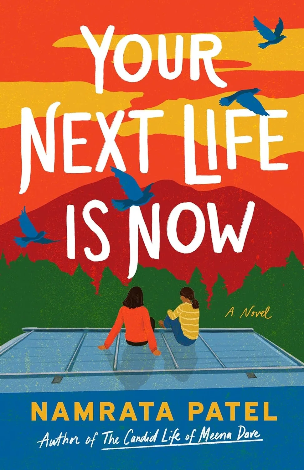 Review: Your Next Life Is Now by Namrata Patel 