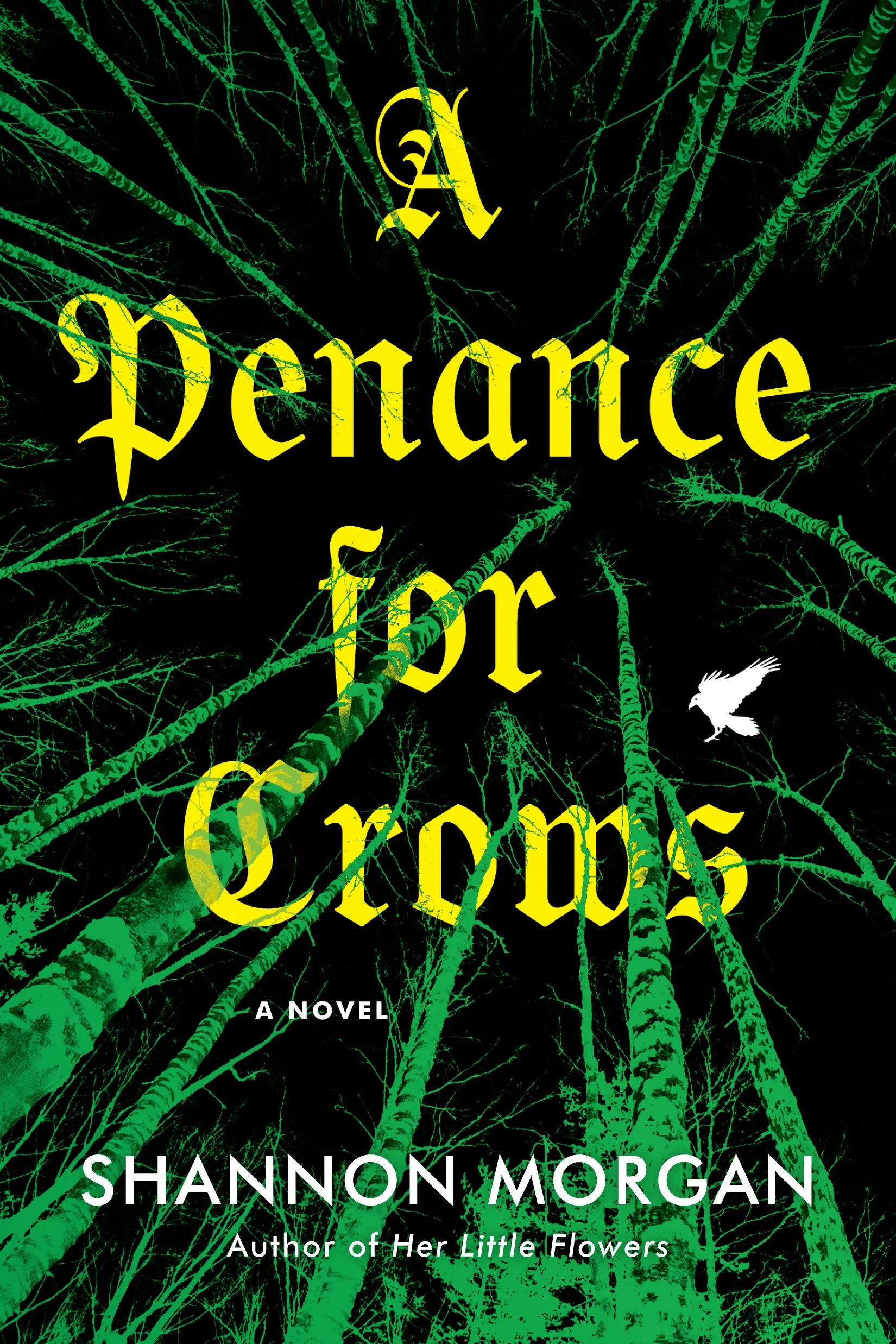 Spotlight: A Penance for Crows by Shannon Morgan