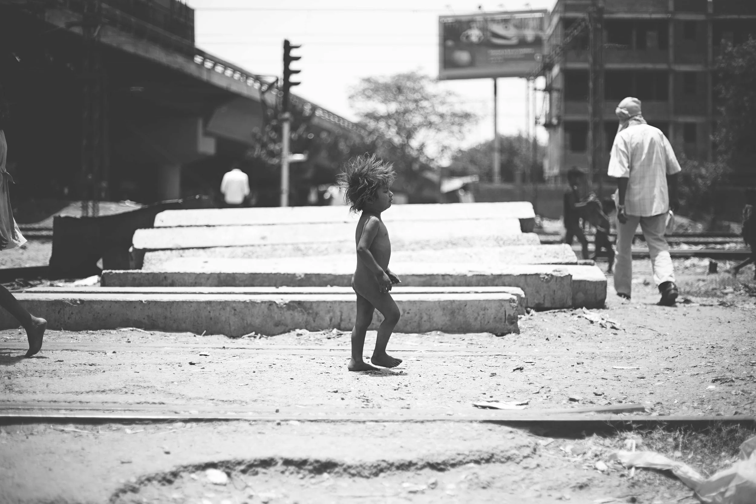 India|2012|FlyOver2.jpg
