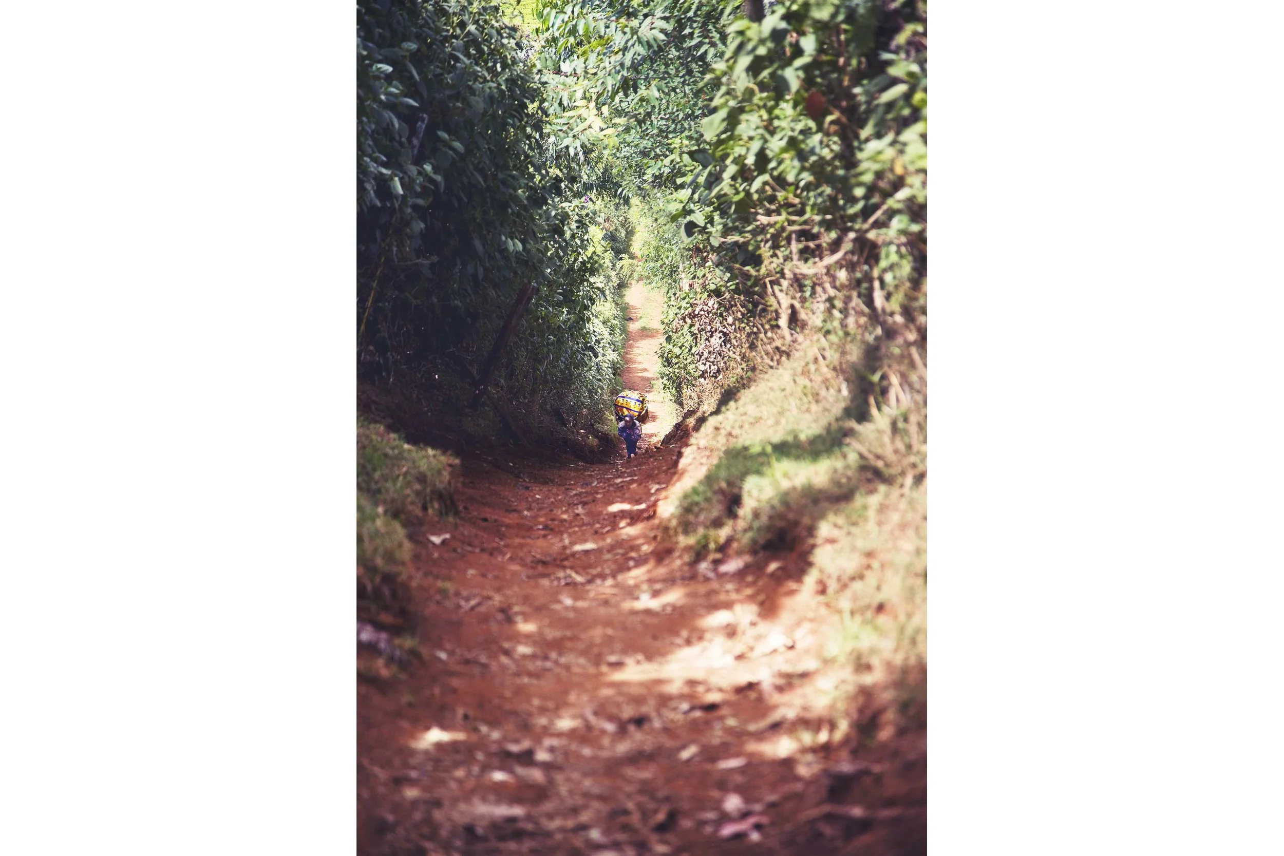 Kenya|2011|uphill.jpg
