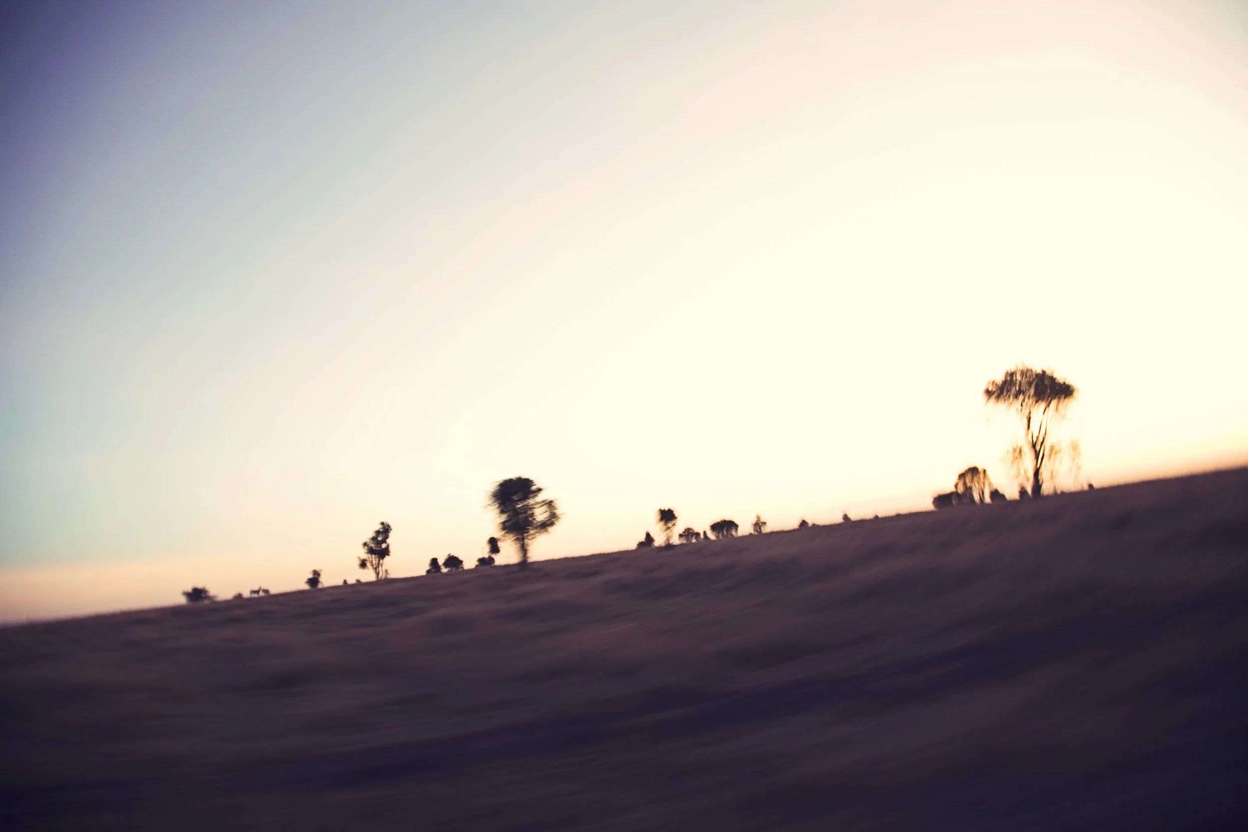 Kenya|2011|field.jpg