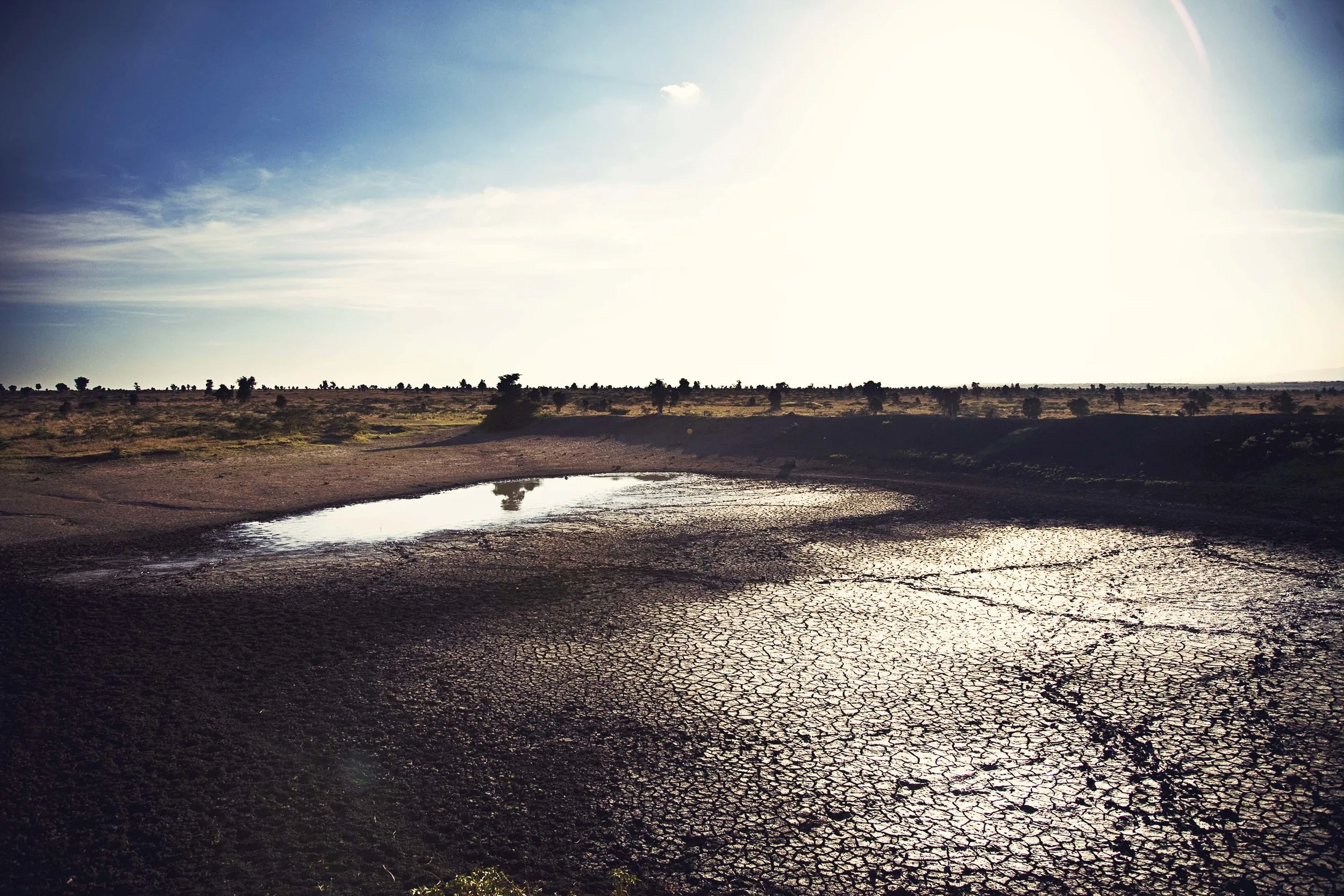 Kenya|2011|waterhole.jpg