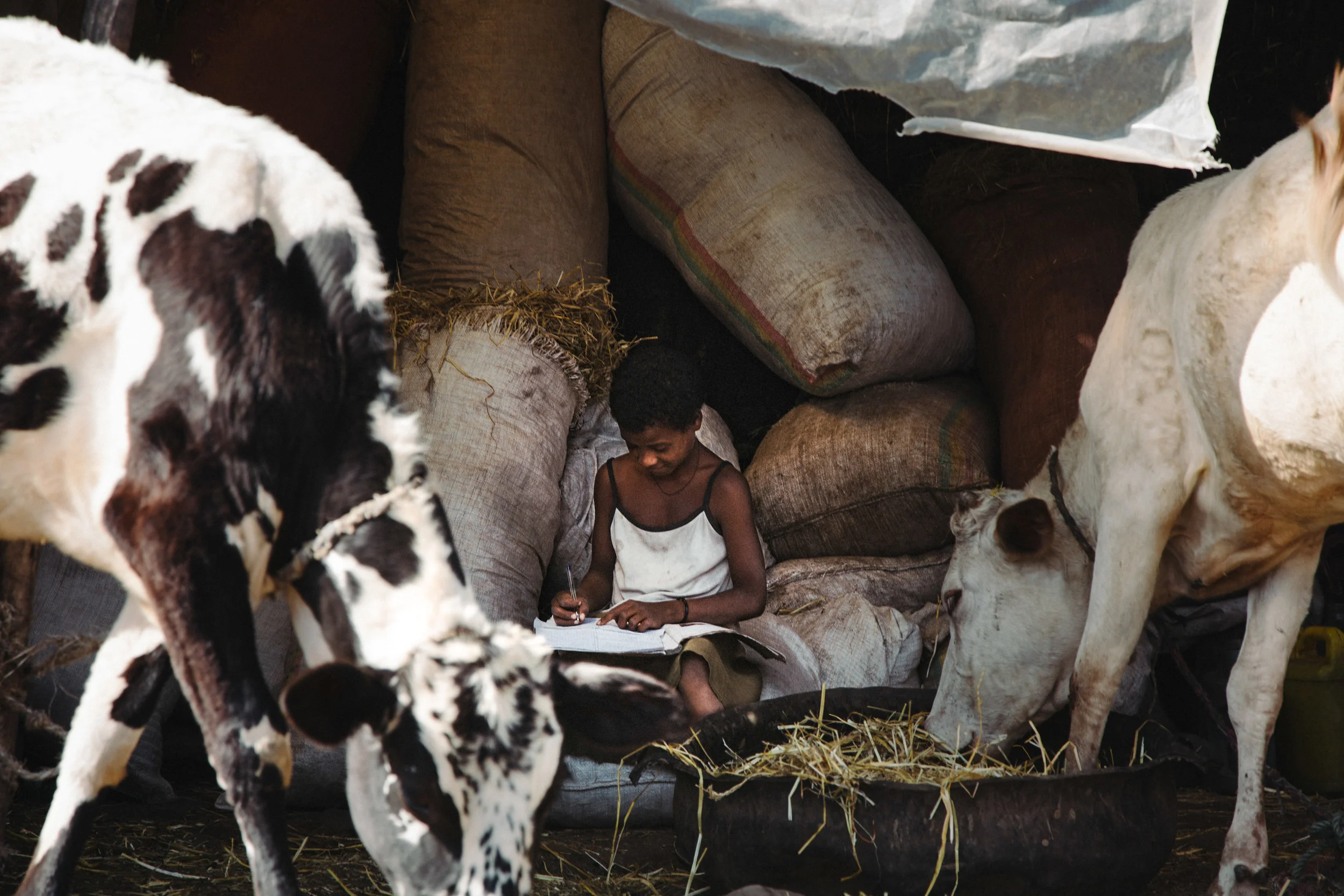 Jaster.co Canadian Documentary Photographer-53.jpg