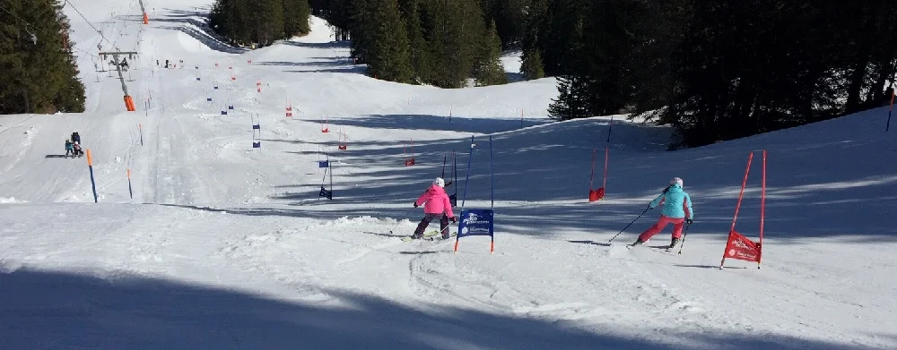 Käserennen2019_low1.jpg
