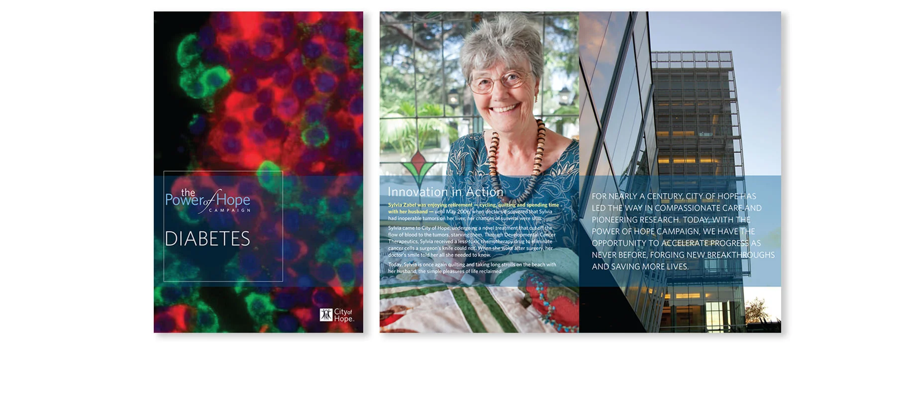 City of Hope / Program Brochure