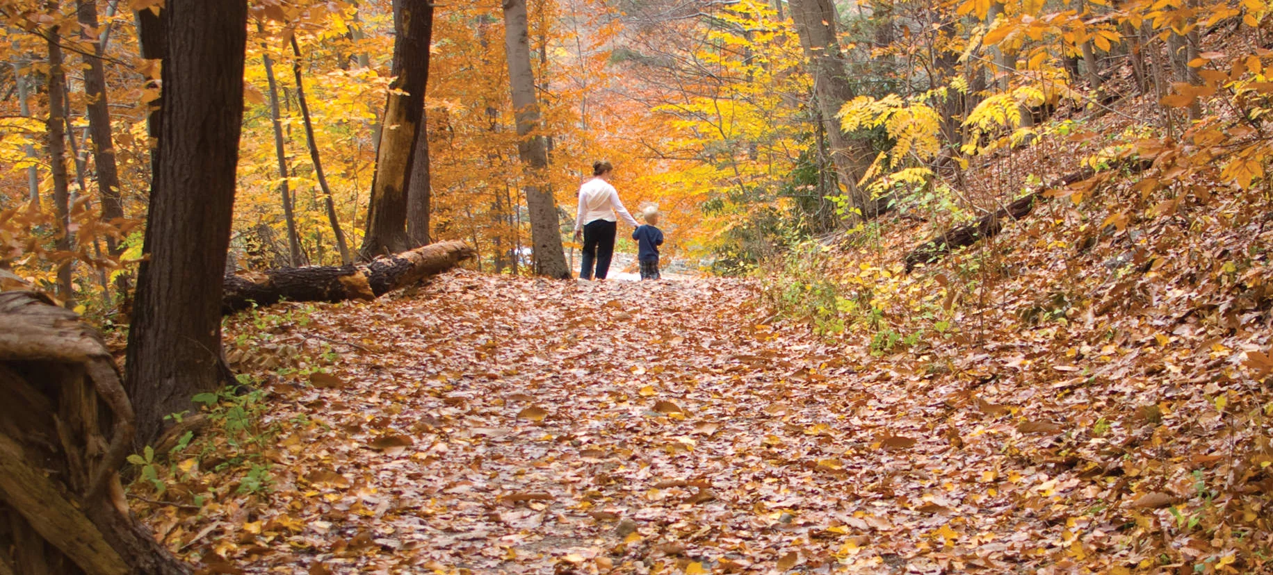 Friends of the Wissahickon / Photography