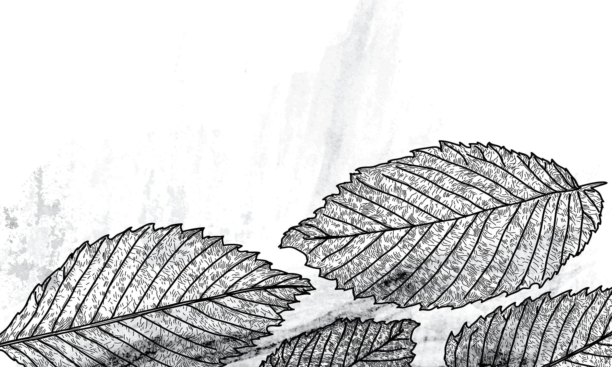 KWD_thanksgiving 2018_hmPg V3.jpg