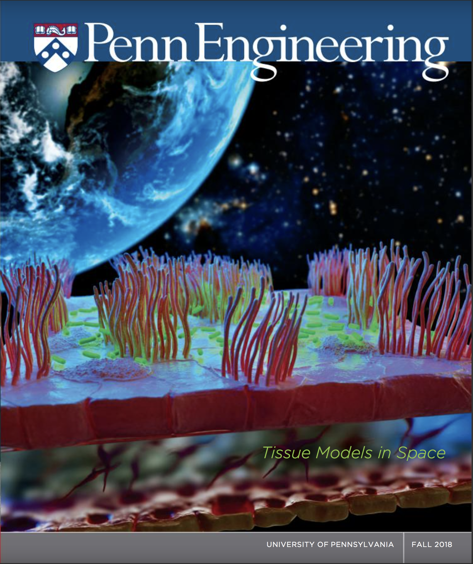 kelsh-wilson-design-penn-engineering-cover.png