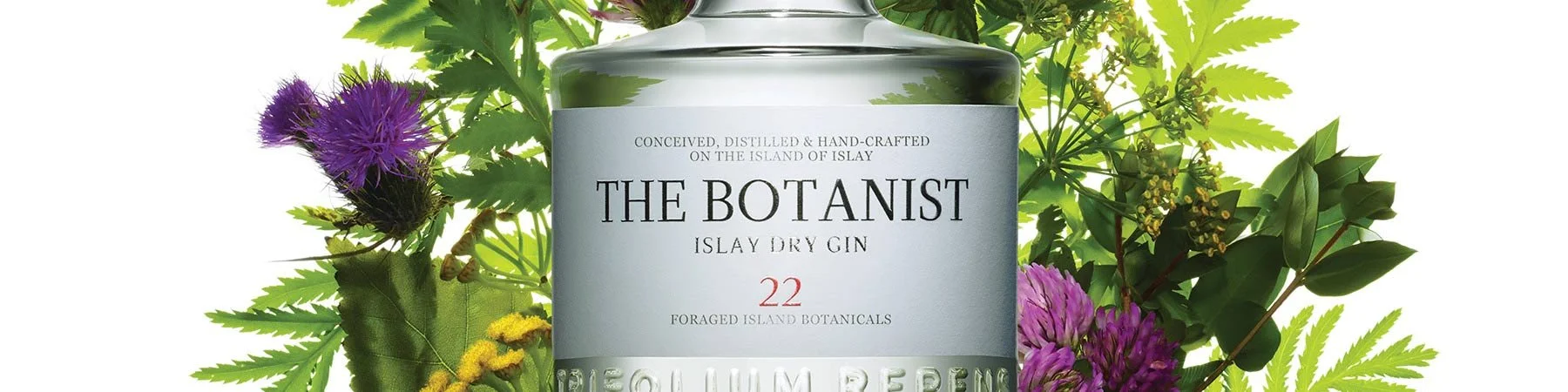 pano-marques-the-botanist.jpg